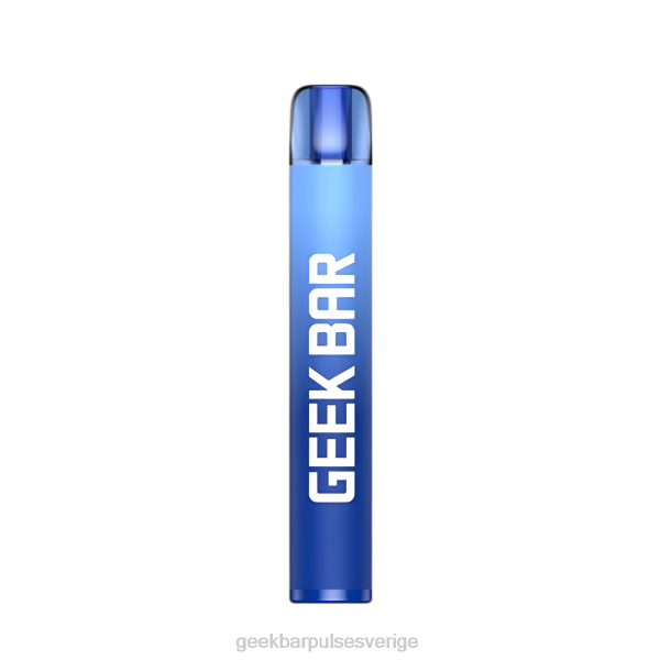 Geek Bar Disposable Vape - Geek Bar e600 engångsvape 44L0195 blåbärshallon
