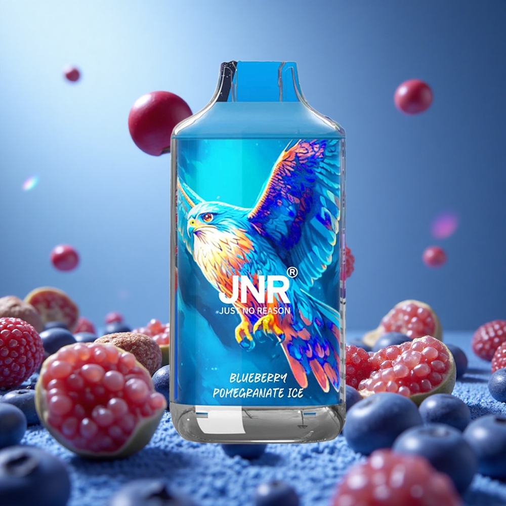 JNR Falcon 16000 Puffs Blåbär Granatäpple Is med 850 mAh Batteri och 22ml E-vätska partihandel Sverige