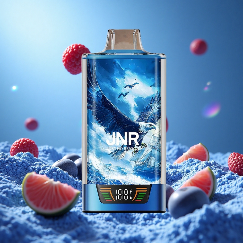 JNR Falcon Pro 28000 Blåbär Is 30ml Förfylld Kapacitet 950mAh Batterikapacitet partihandel Sverige