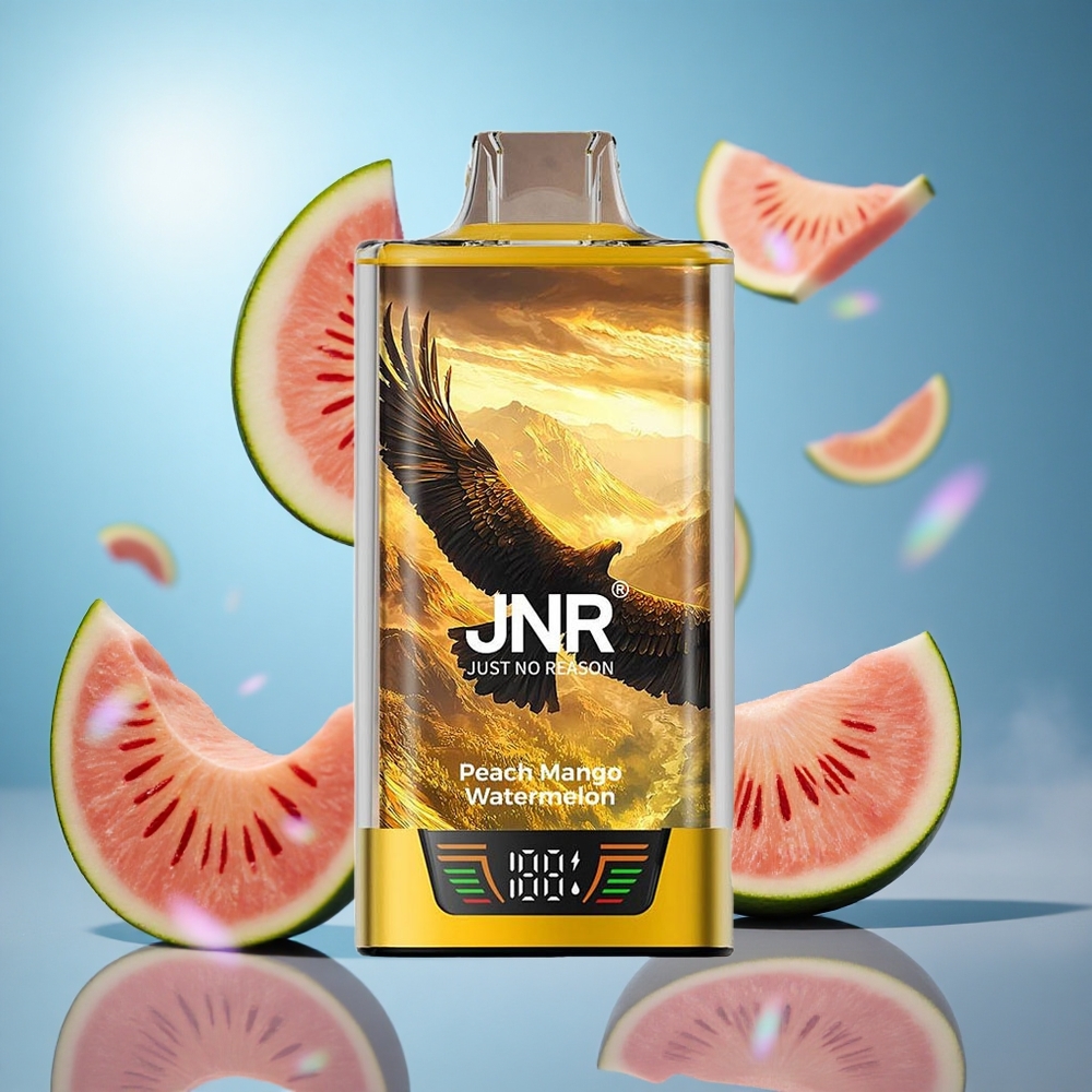 JNR Falcon Pro 28000 Puffs Persika Mango Vattenmelon 30ml Förfylld Kapacitet USB Type-C partihandel Sverige