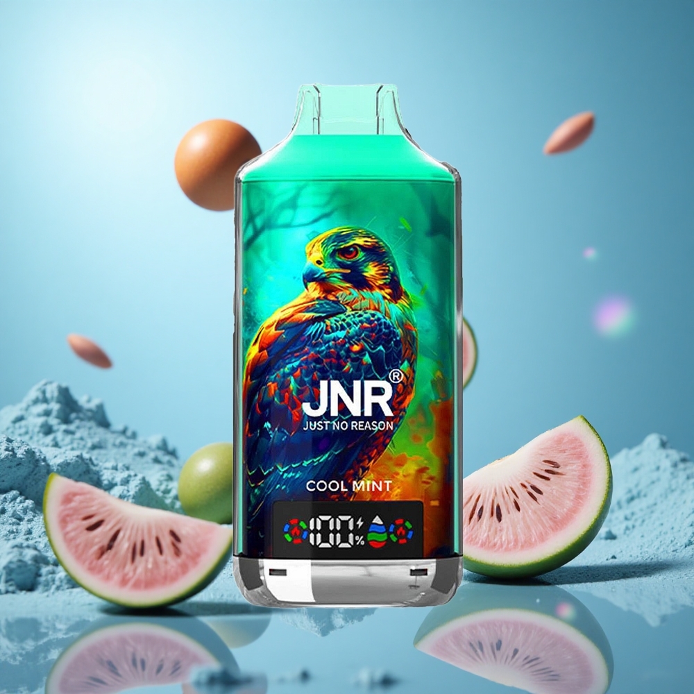 JNR Falcon X 18000 Puffs 750mAh Batterikapacitet 24ml E-vätska Cool Mynta partihandel Sverige