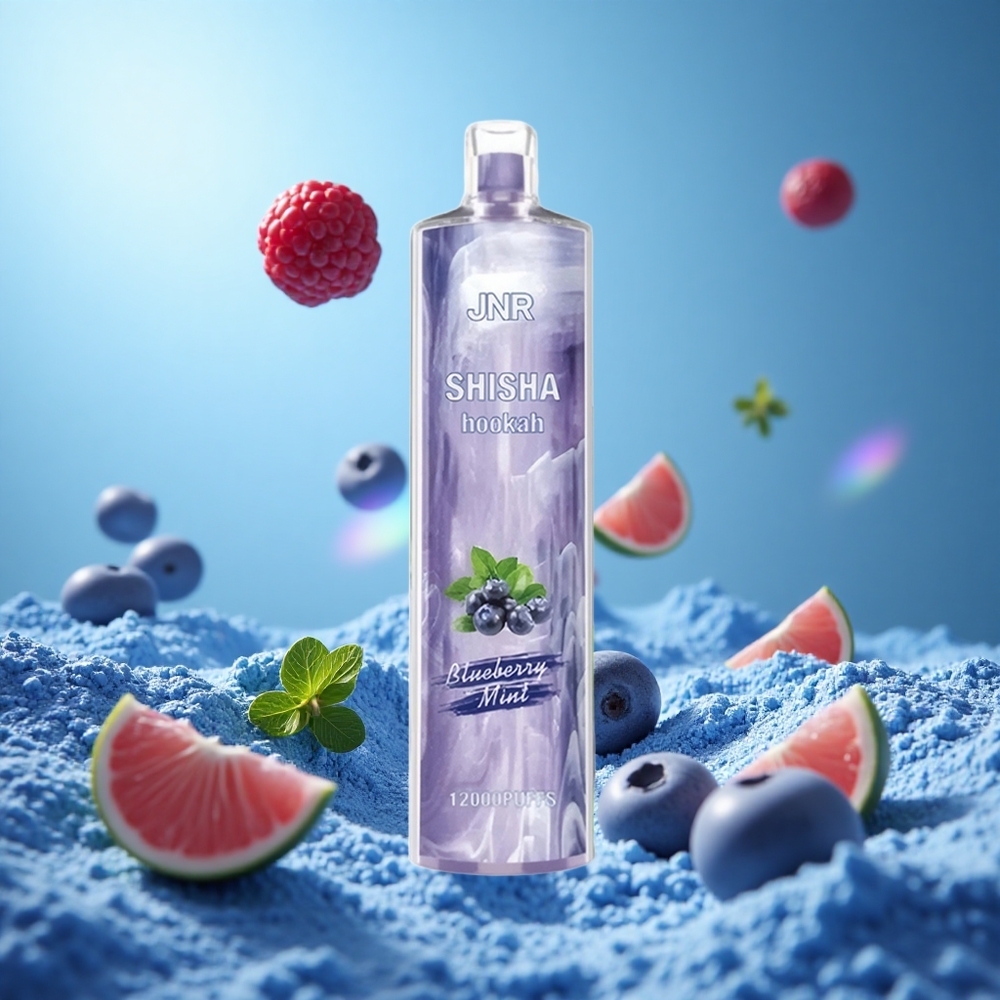 JNR Shisha Hookah 12000 Puffs Blåbär Mynta 24ml E-vätska 750mAh partihandel Sverige