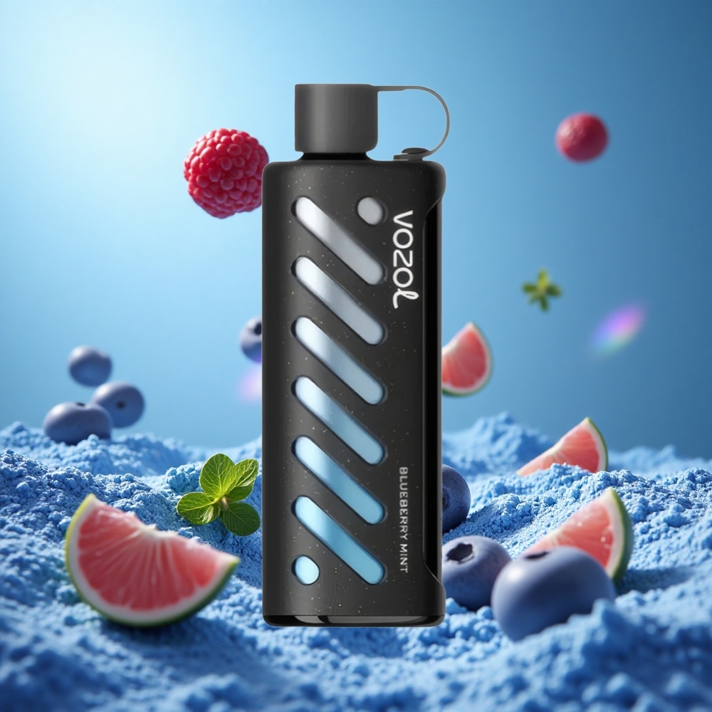 VOZOL Gear Shisha 25000 Puffs Blåbär Mynta Smak Dual Mesh Dual Modes 1000mAh partihandel Sverige