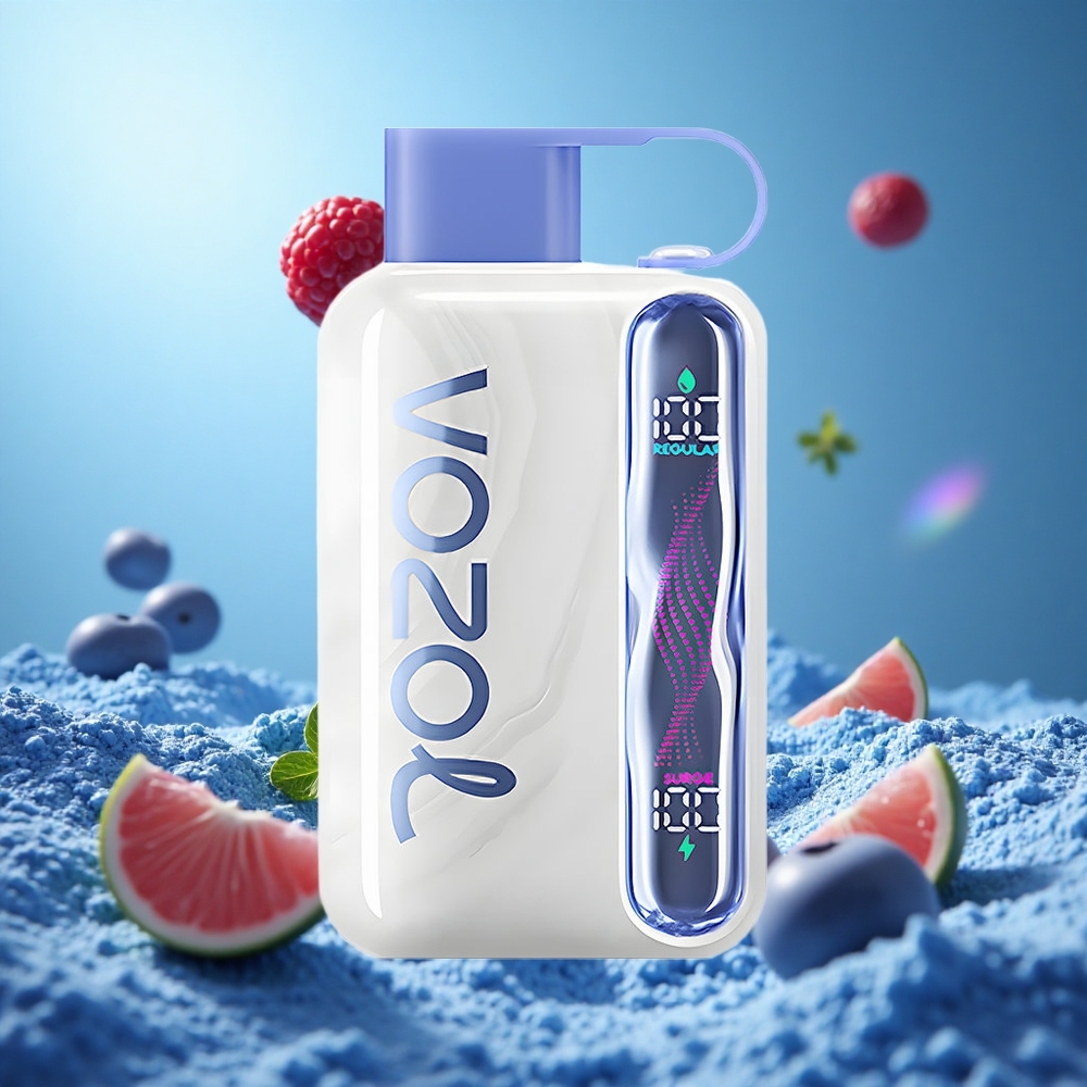 VOZOL STAR 40000 Puffs Blåbärsmynta Engångsvape 1000mAh Batterikapacitet Typ-C-laddningsport partihandel Sverige