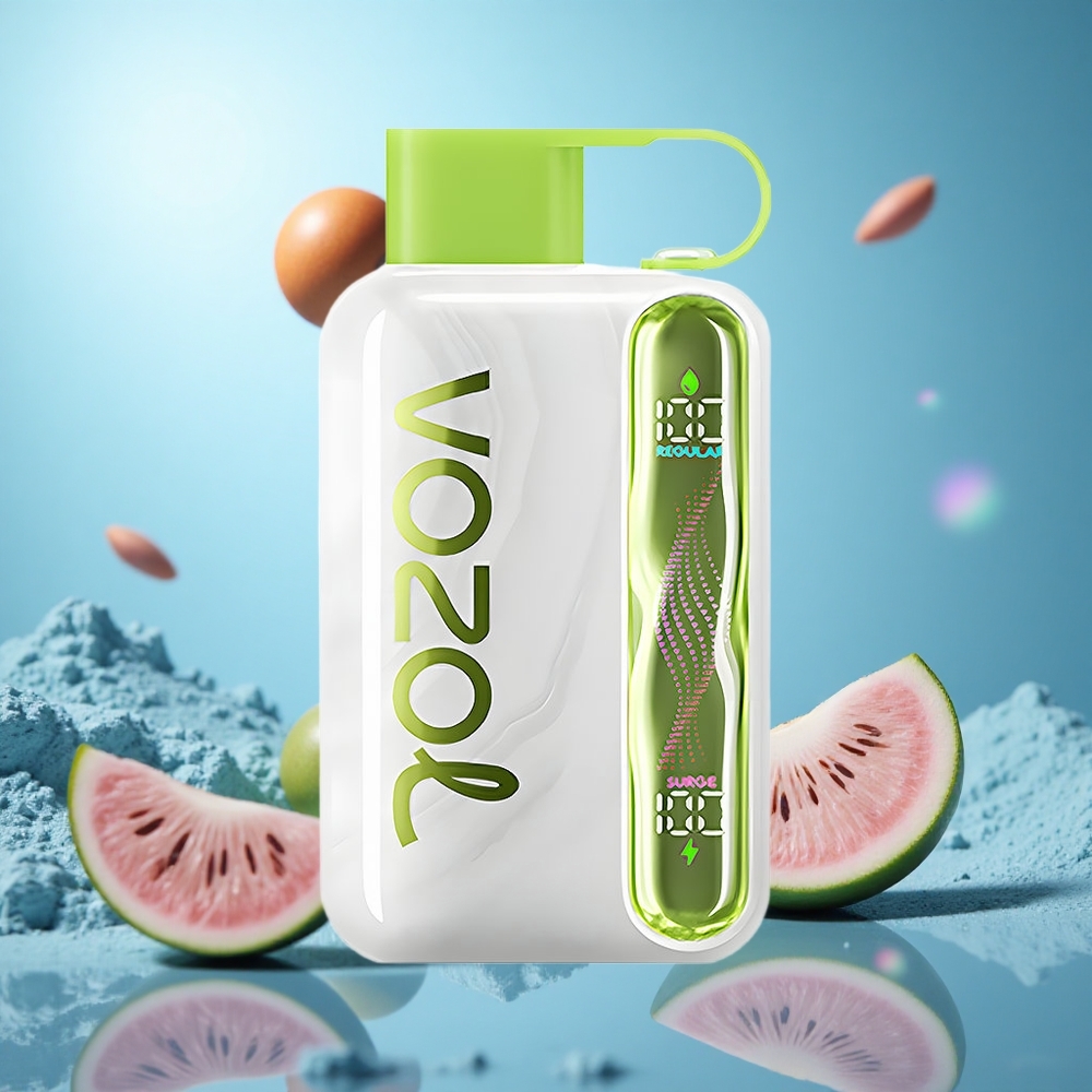 VOZOL STAR 40000 Puffs Disposable E-Cigaret Kylmynta Batterikapacitet: 1000mAh Laddningsport: Typ-C partihandel Sverige