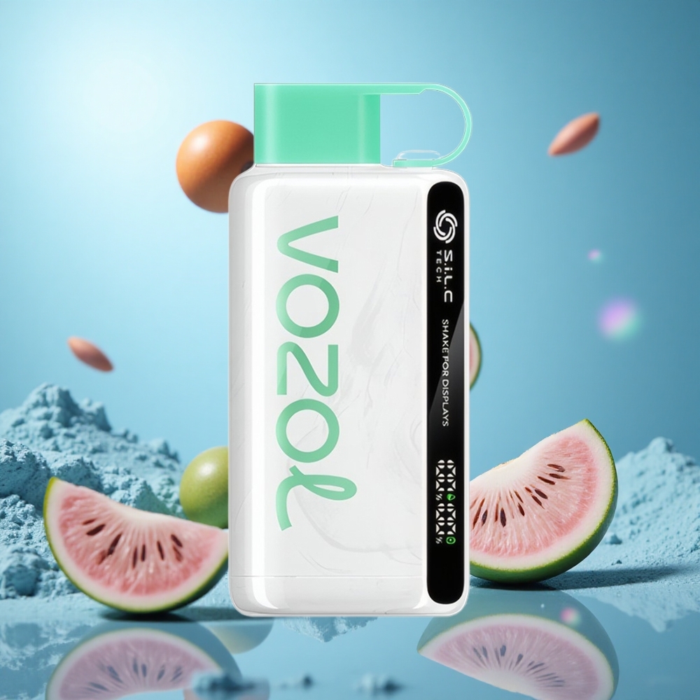 VOZOL STAR 9000/12000 Engångs Vape Kylmynta 30% snabbare laddning 650mAh Batterikapacitet partihandel Sverige