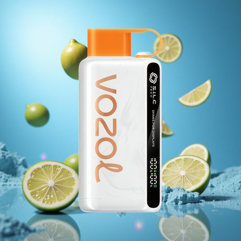 VOZOL STAR 9000/12000 Engångsvape Citron Lime Skaka för display 30% snabbare laddning partihandel Sverige